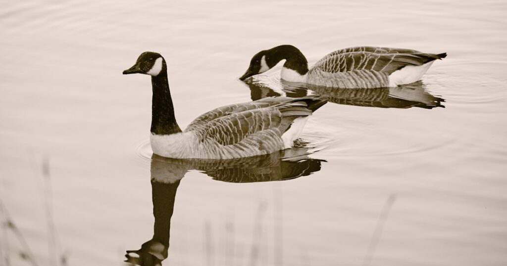 Lycée général et technologique Jacques Prévert – Longjumeau — Longjumeau