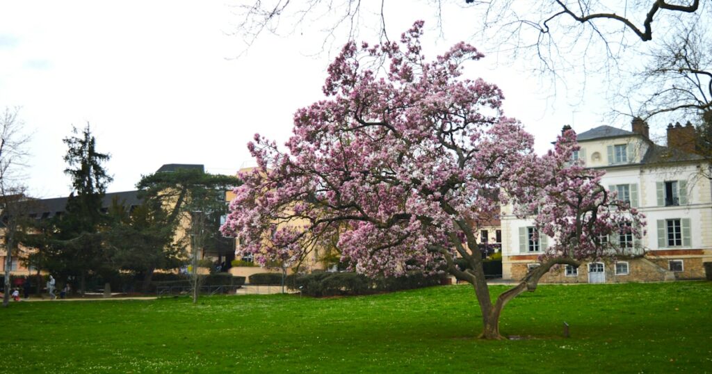 Lycée général et technologique Vallée de Chevreuse – Gif-Sur-Yvette — Gif-Sur-Yvette