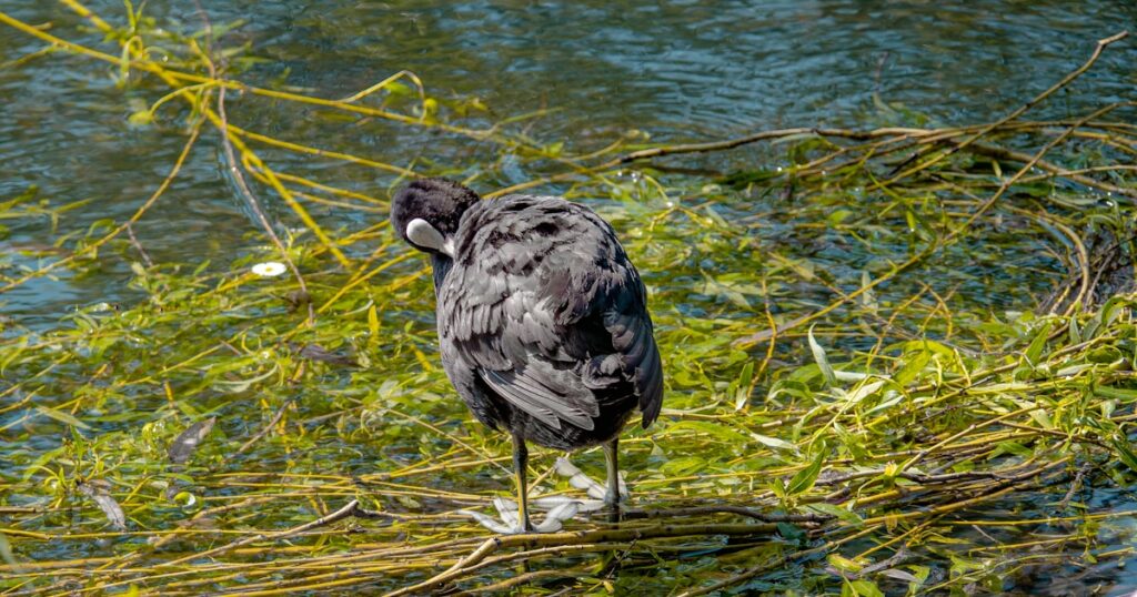 Lycée général privé Saint Adrien La Salle – Villeneuve-D&rsquo;ascq — Villeneuve-D'ascq