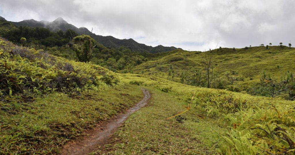 LEAP des Marquises – Nuku-Hiva — Nuku-Hiva